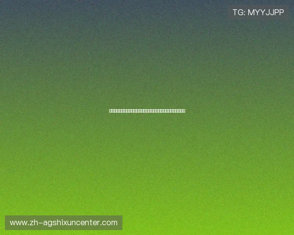 突尼斯队在世界杯中穿着荷兰客场球衣的战术表现与球迷反响深度解析